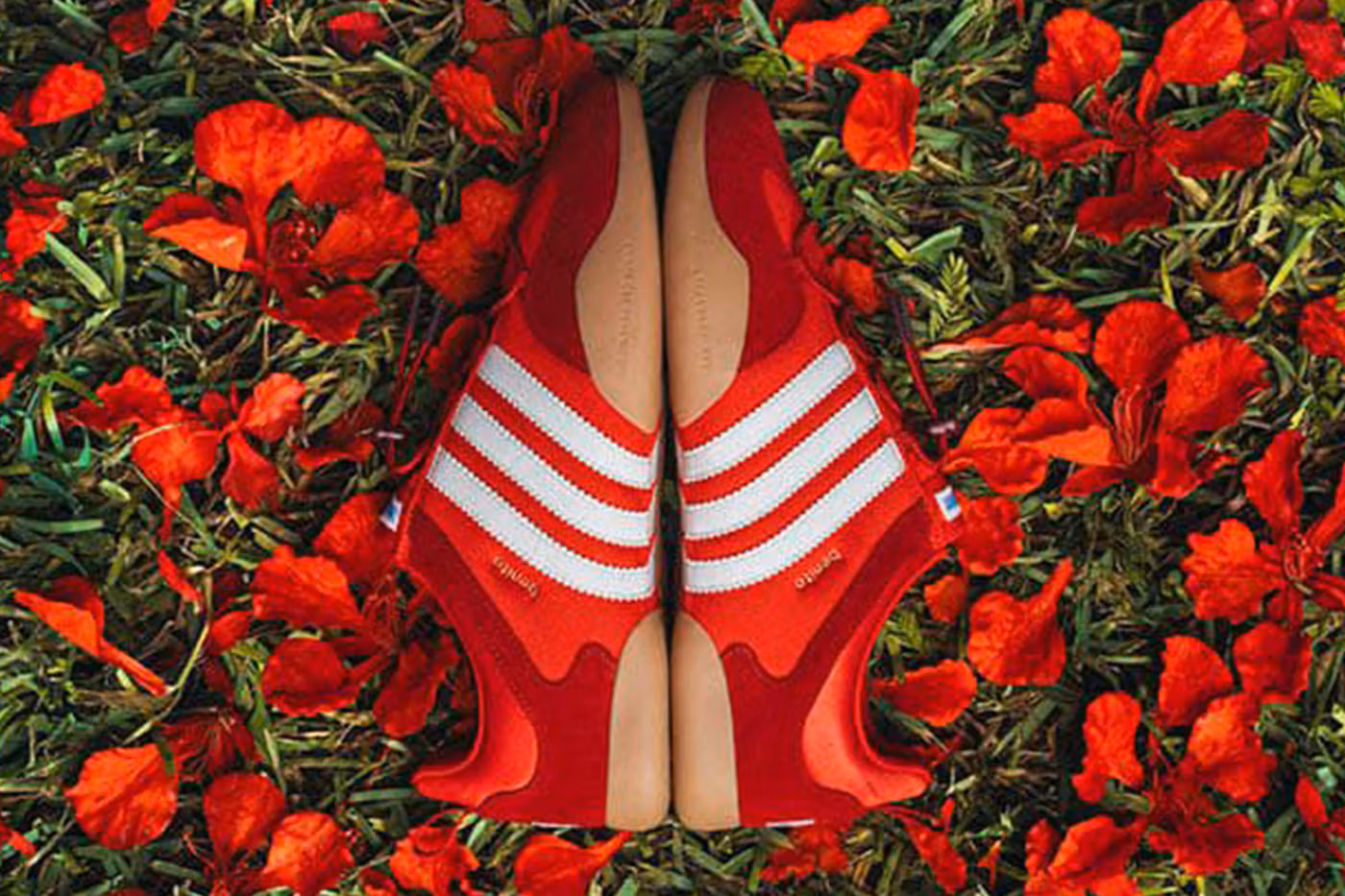 Bad Bunny adidas vivid red ballerina